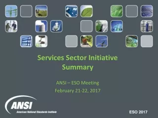 Services Sector Initiative Summary