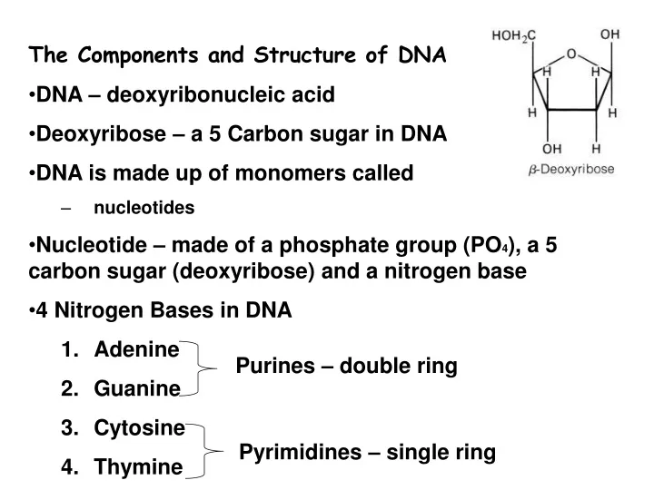 the components and structure