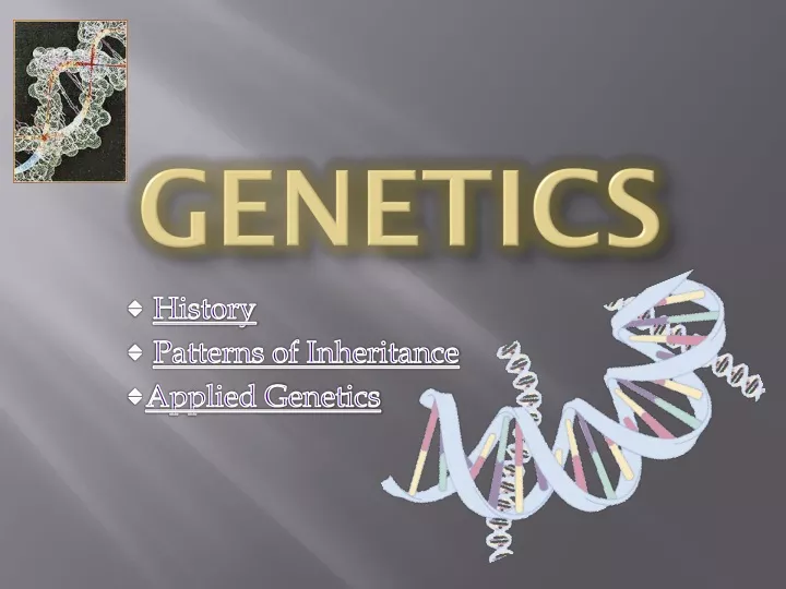 genetics