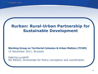 Rurban: Rural-Urban Partnership for Sustainable Development