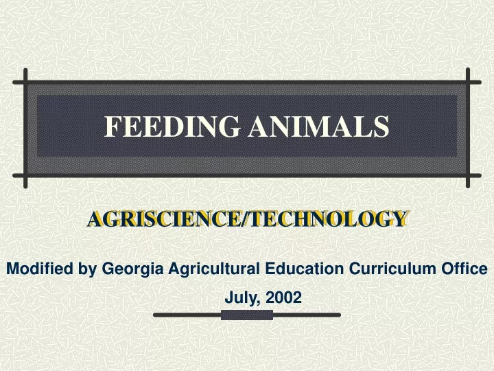 feeding animals
