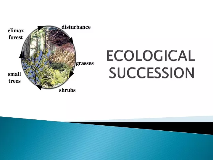 ecological succession