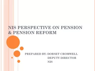 NIS PERSPECTIVE ON PENSION &amp; PENSION REFORM