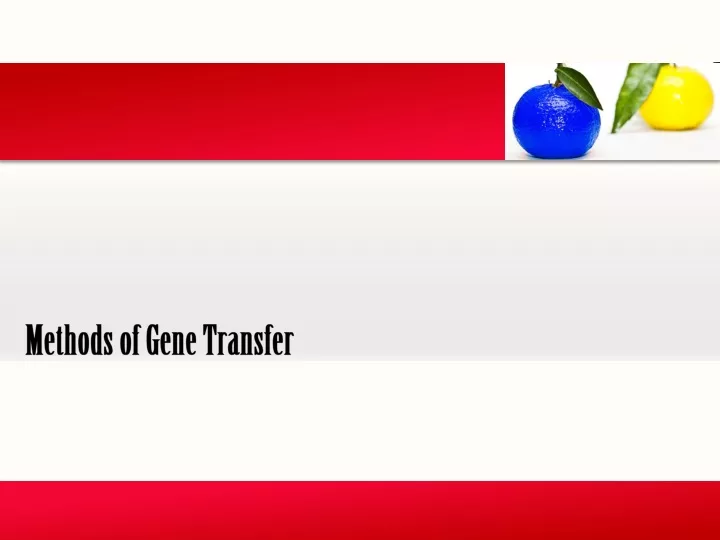 methods of gene transfer