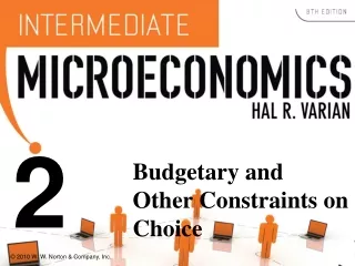 Budgetary and Other Constraints on Choice