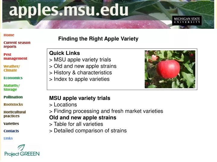 finding the right apple variety