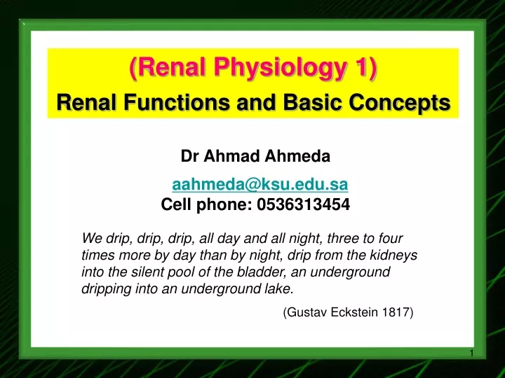 renal physiology 1 renal functions and basic