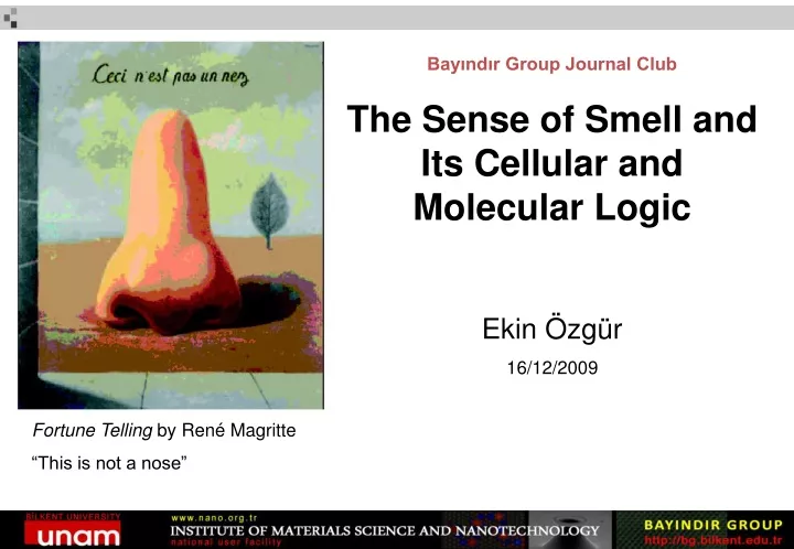 bay nd r group journal club the sense of smell