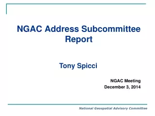 NGAC Address Subcommittee  Report