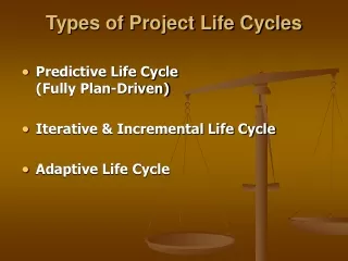 Types of Project Life Cycles