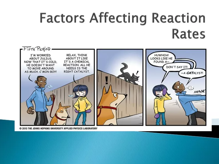 factors affecting reaction rates