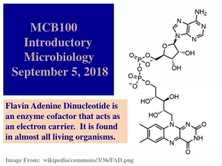 MCB100       Introductory       Microbiology   September 5, 2018