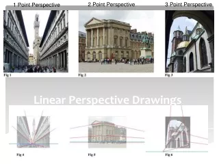 Linear Perspective Drawings
