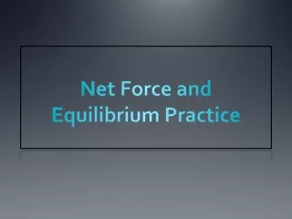 Net Force and Equilibrium Practice
