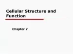 Cellular Structure and Function