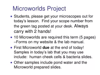Microworlds Project