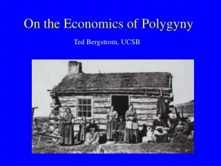 On the Economics of Polygyny