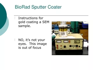 BioRad Sputter Coater