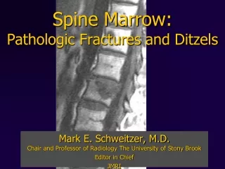 Spine Marrow: Pathologic Fractures and Ditzels