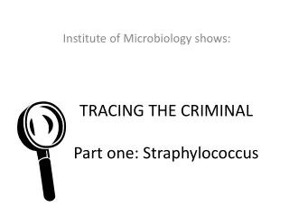 TRACING THE CRIMINAL Part one: Straphylococcus