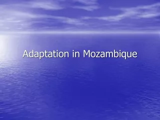 Adaptation in Mozambique