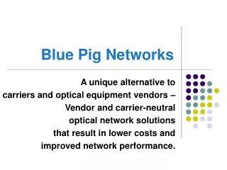 Blue Pig Networks