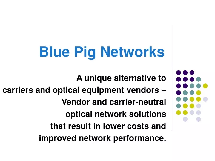 blue pig networks