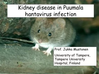 Kidney disease in Puumala hantavirus infection