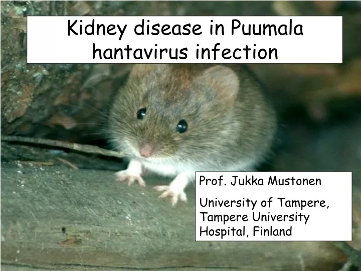 kidney disease in puumala hantavirus infection