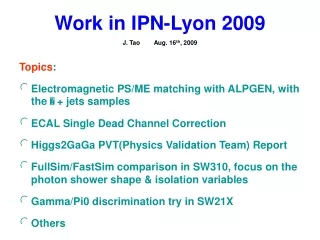 Work in IPN-Lyon 2009