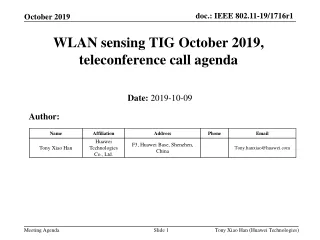 WLAN sensing TIG October 2019, teleconference call agenda