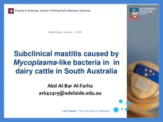 Subclinical mastitis caused by  Mycoplasma -like bacteria in  in dairy cattle in South Australia