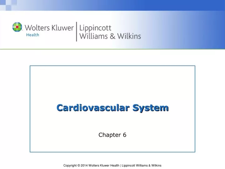 cardiovascular system