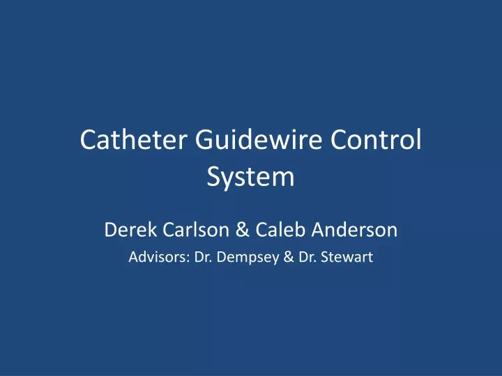 catheter guidewire control system