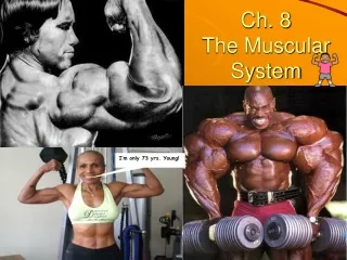 Ch. 8  The Muscular System