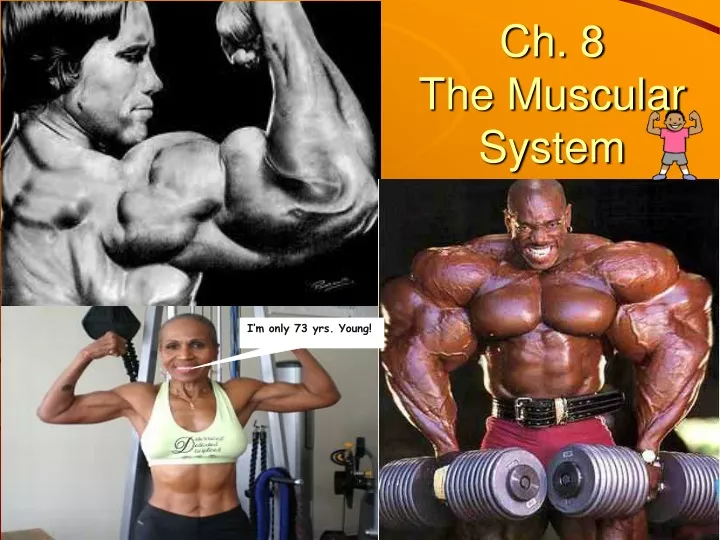 ch 8 the muscular system