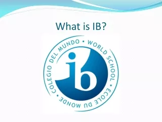 What is IB?