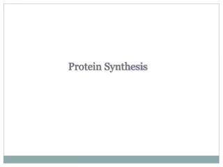 Protein Synthesis