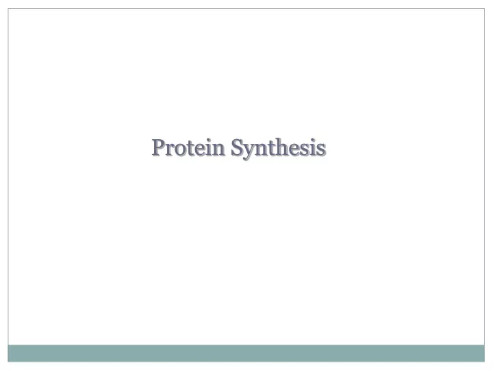 protein synthesis