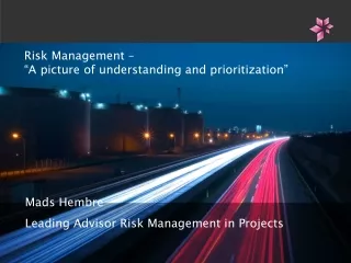 Mads Hembre Leading Advisor Risk Management in Projects