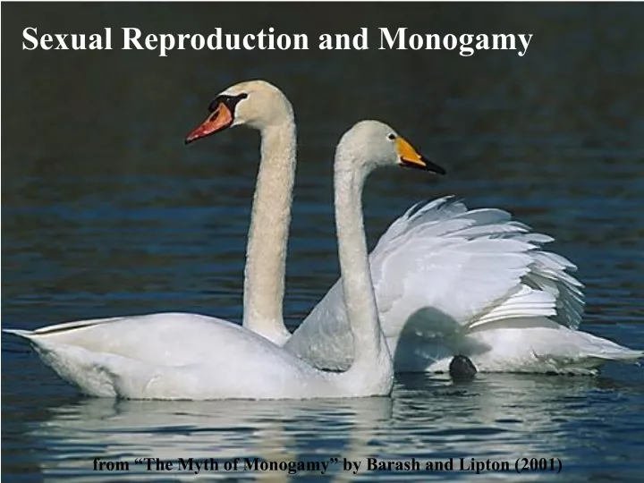 sexual reproduction and monogamy