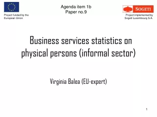 Business services statistics on physical persons (informal sector)