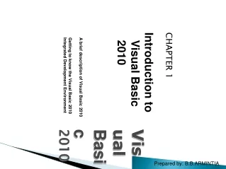 Visual  Basic 2010