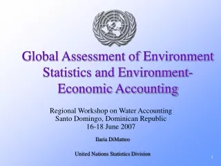Global Assessment of Environment Statistics and Environment-Economic Accounting