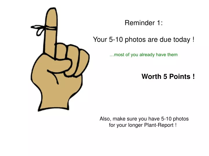 reminder 1 your 5 10 photos are due today most