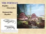 Timeline of Prehistoric Eras: Permian, Triassic, Jurassic, Cretaceous - slide 1