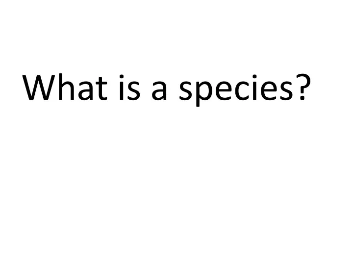 what is a species