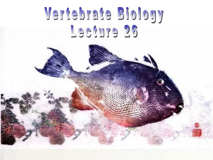 vertebrate biology