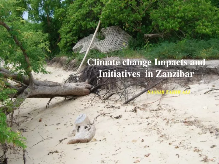 climate change impacts and status of implementation in zanzibar