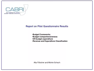 Report on Pilot Questionnaire Results Budget Frameworks Budget Comprehensiveness